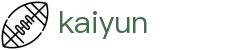 开云（KaiYun）官方门户 - 互动服务平台及赛事覆盖